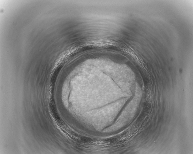 X0000086880736200705141410