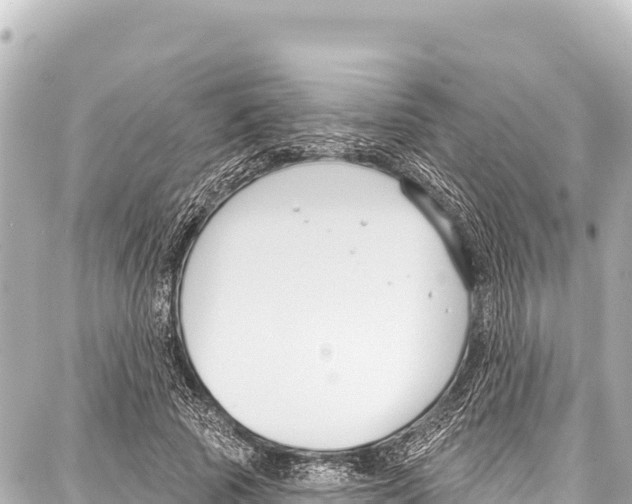 X0000086880737200705141410