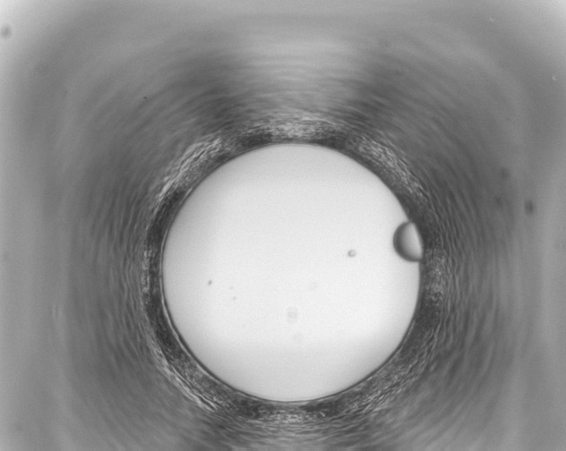 X0000086880738200705141410