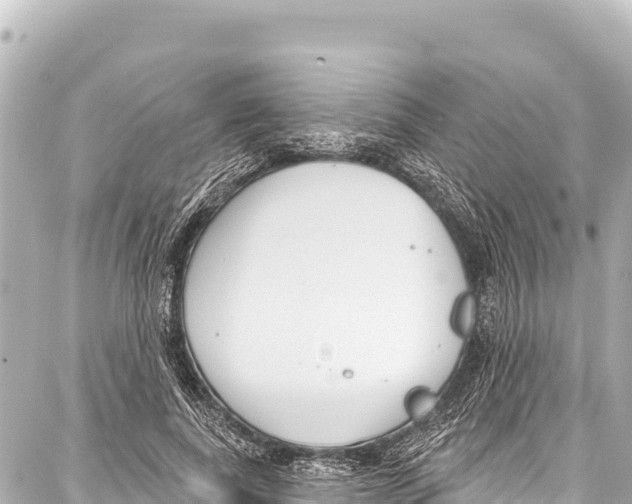 X0000086880739200705141410