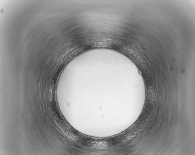 X0000086880741200705141410