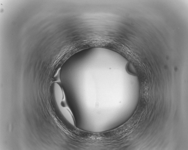 X0000086880742200705141410