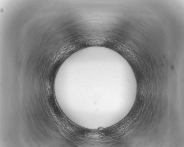 X0000086880743200705141410