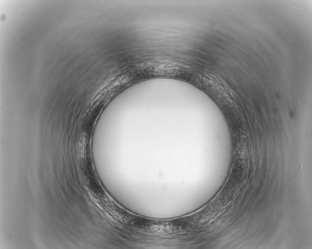 X0000086880744200705141410