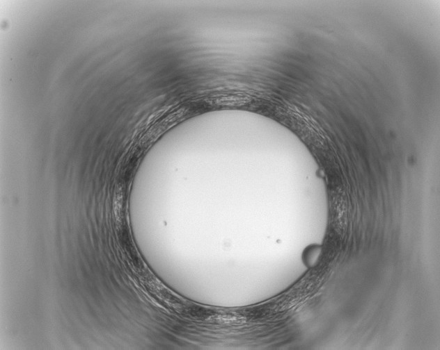 X0000086880745200705141410