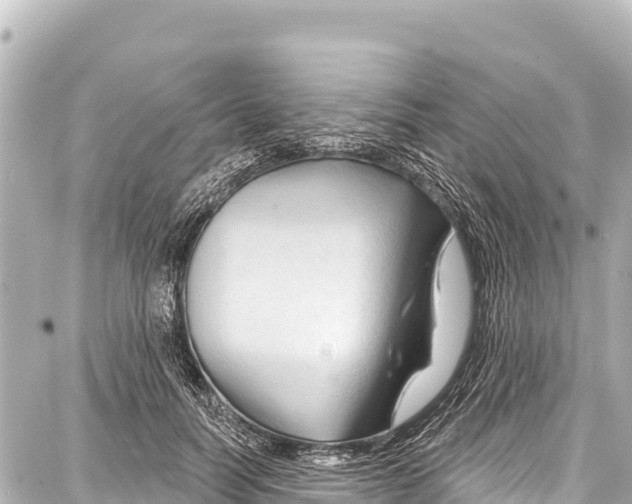 X0000086880746200705141410