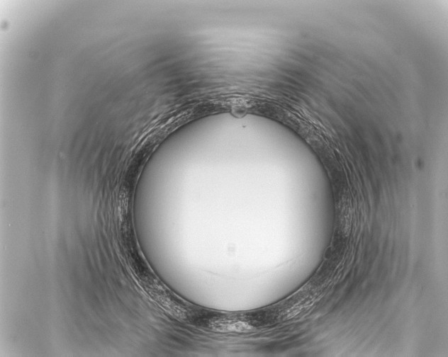 X0000086880747200705141410