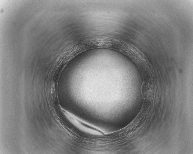 X0000086880748200705141410