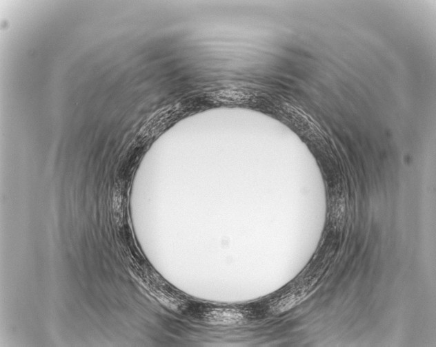 X0000086880749200705141410