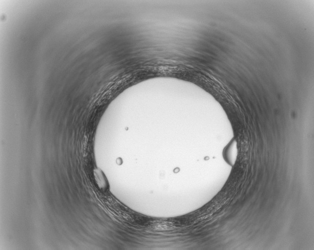 X0000086880750200705141410