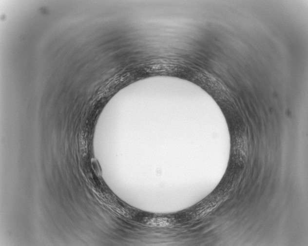 X0000086880751200705141410