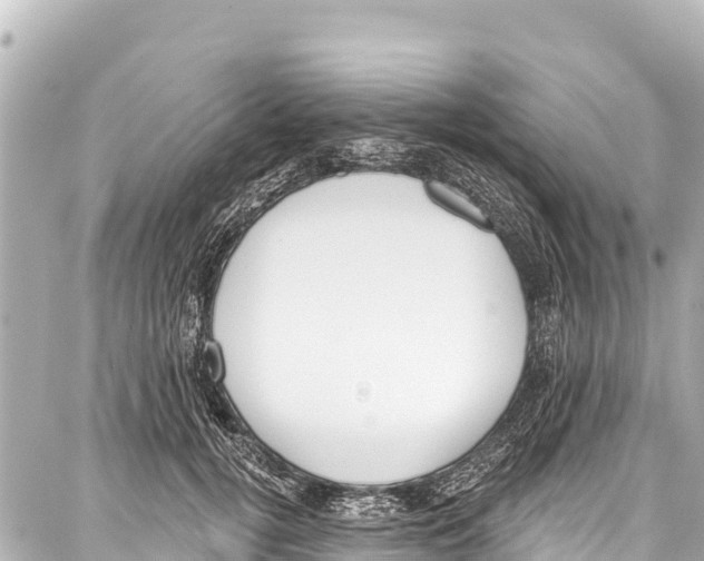 X0000086880752200705141410