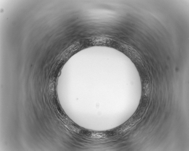 X0000086880753200705141410