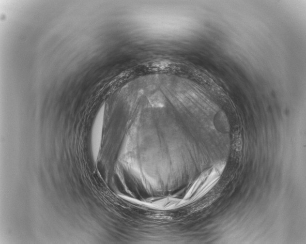 X0000086880754200705141410