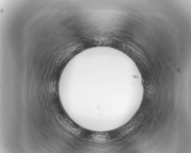 X0000086880756200705141410