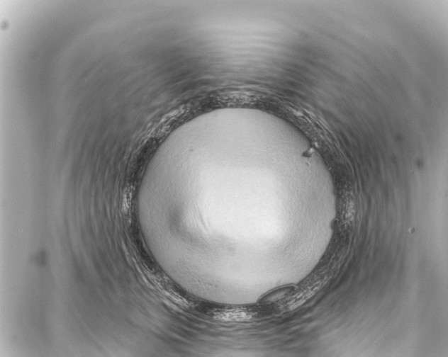 X0000086880759200705141410