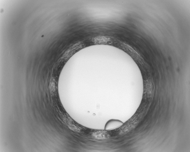 X0000086880761200705141410