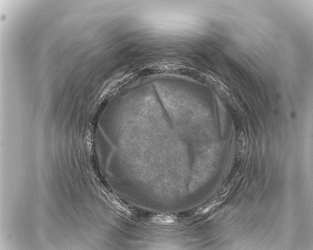 X0000086880762200705141410