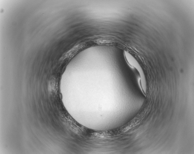 X0000086880763200705141410