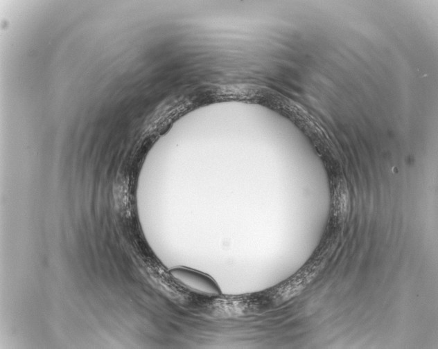 X0000086880764200705141410