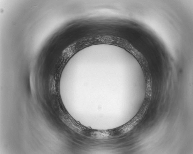 X0000086880765200705141410