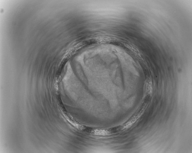 X0000086880766200705141410