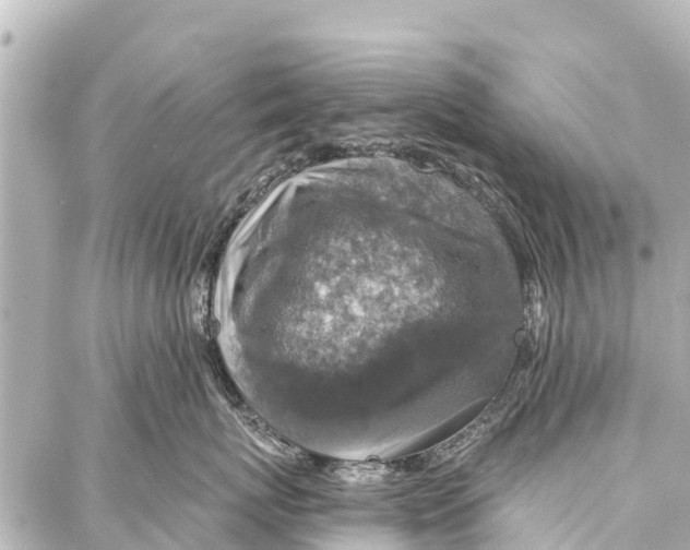 X0000086880767200705141410