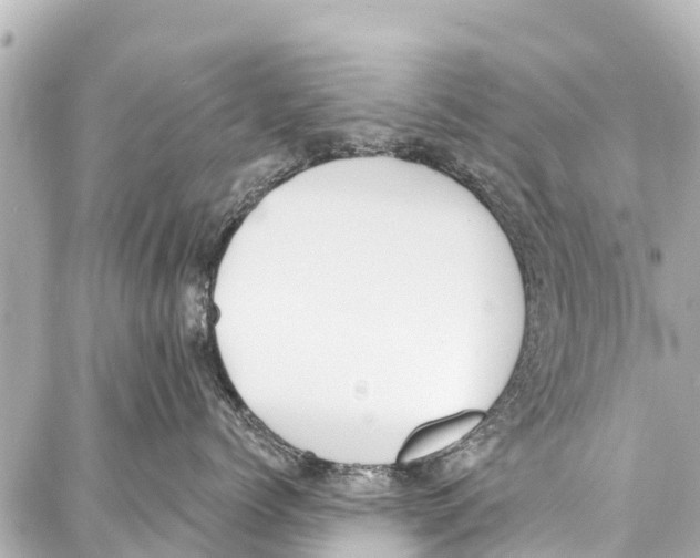 X0000086880768200705141410