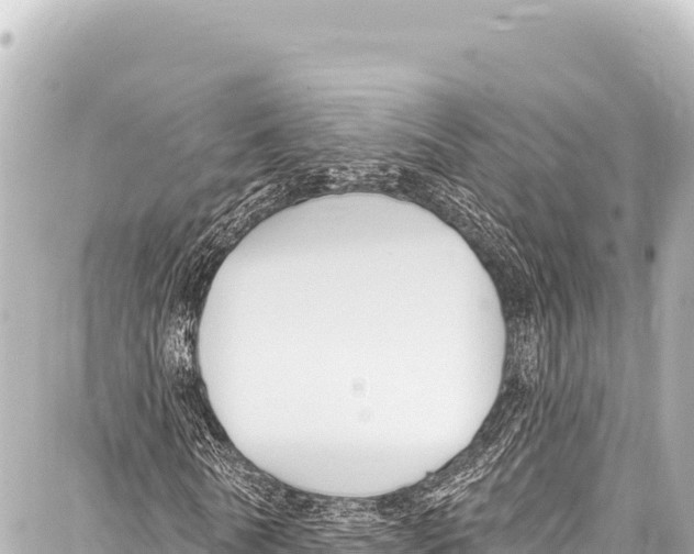 X0000086880770200705141409