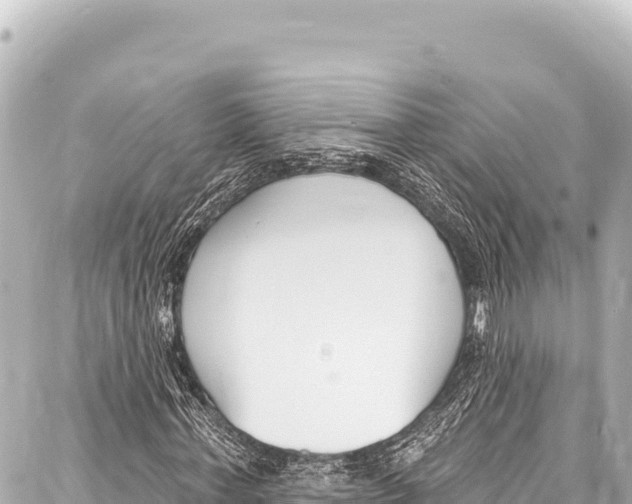 X0000086880771200705141409