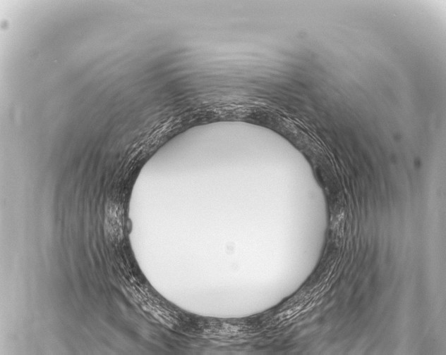 X0000086880772200705141409