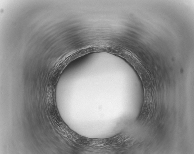 X0000086880773200705141409