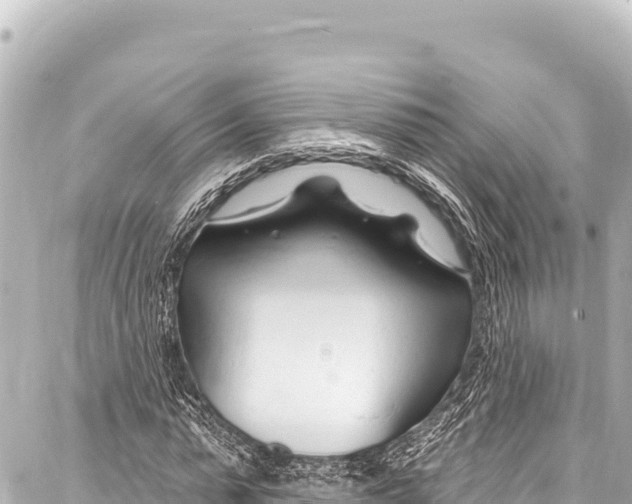 X0000086880775200705141409