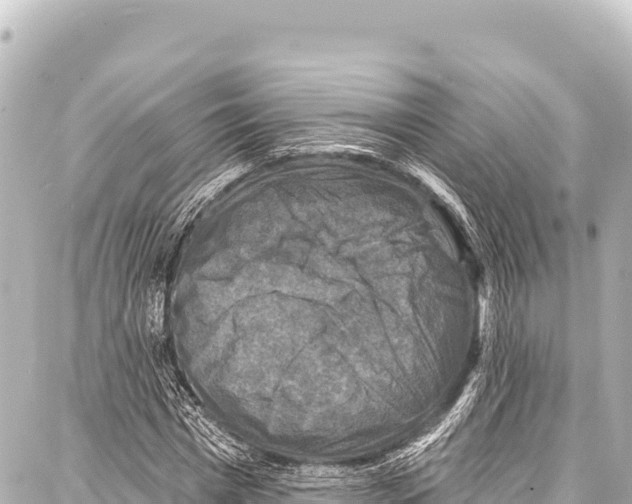 X0000086880777200705141409