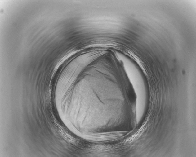 X0000086880779200705141409