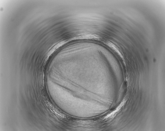 X0000086880781200705141409