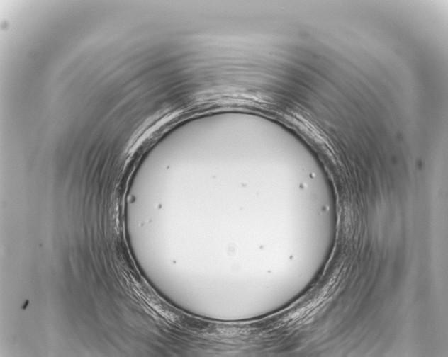 X0000086880782200705141409