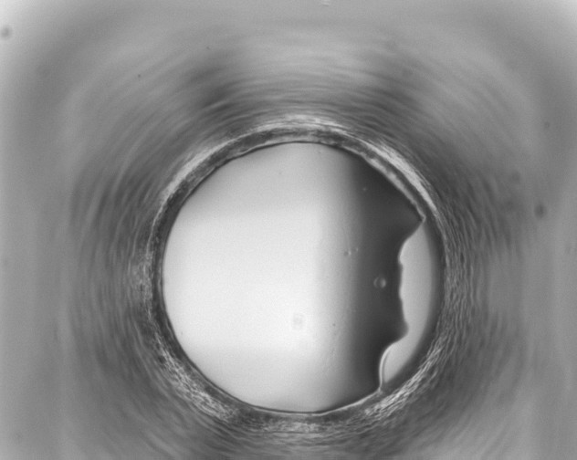 X0000086880783200705141409