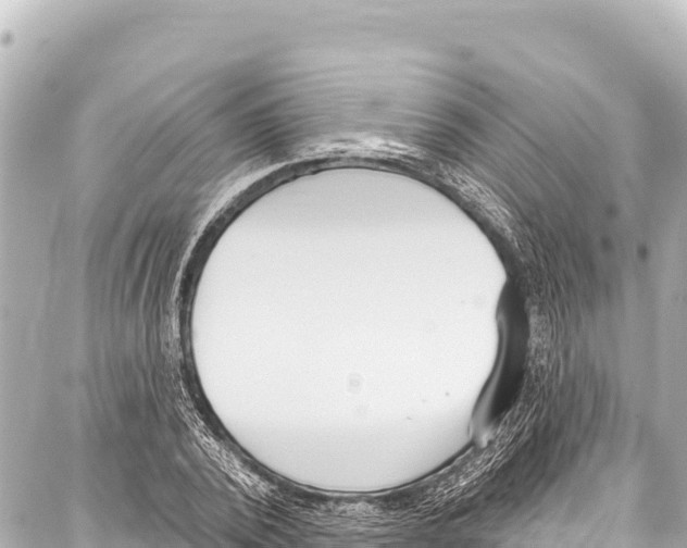 X0000086880784200705141409