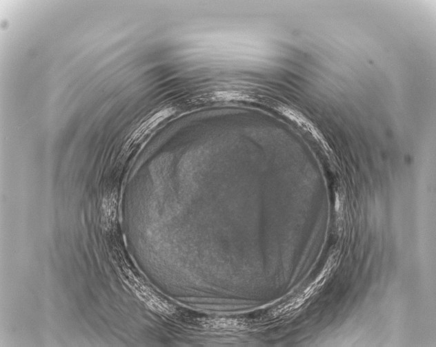 X0000086880785200705141409