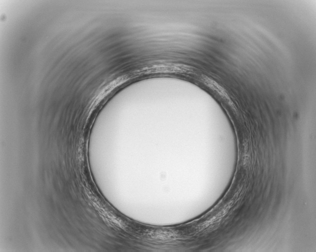 X0000086880786200705141409