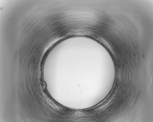 X0000086880787200705141409