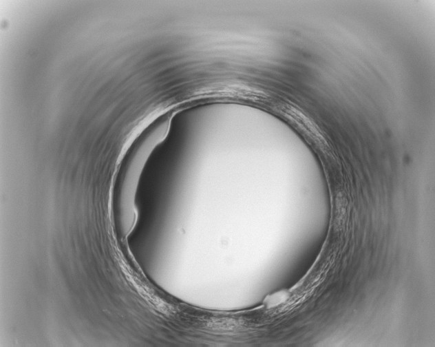 X0000086880788200705141409