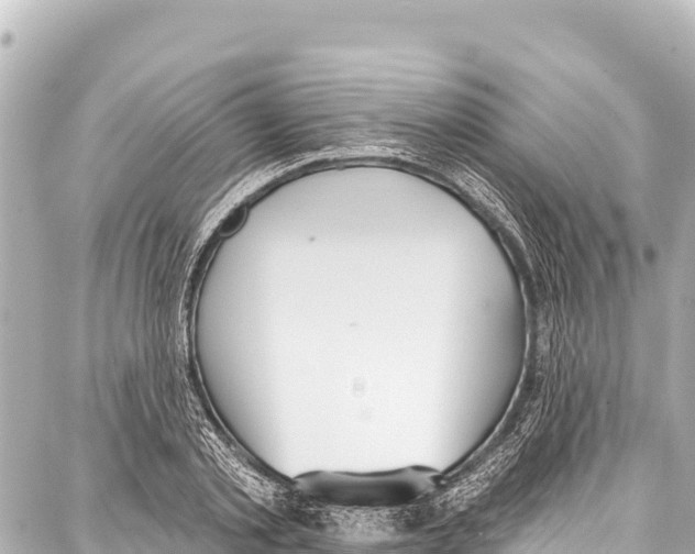 X0000086880789200705141409