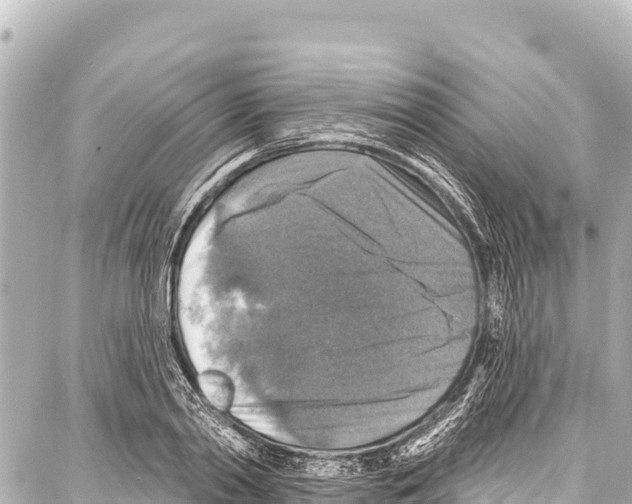 X0000086880790200705141409