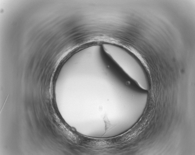 X0000086880791200705141409