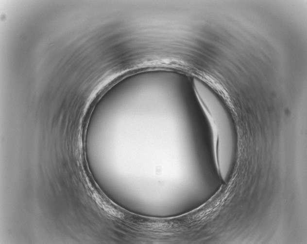 X0000086880792200705141409