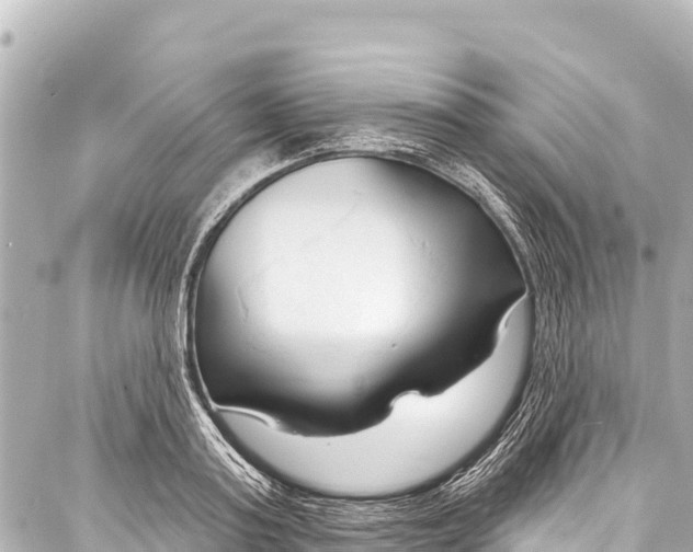 X0000086880795200705141409