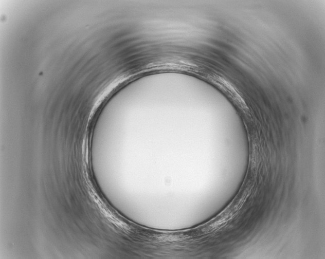 X0000086880796200705141409