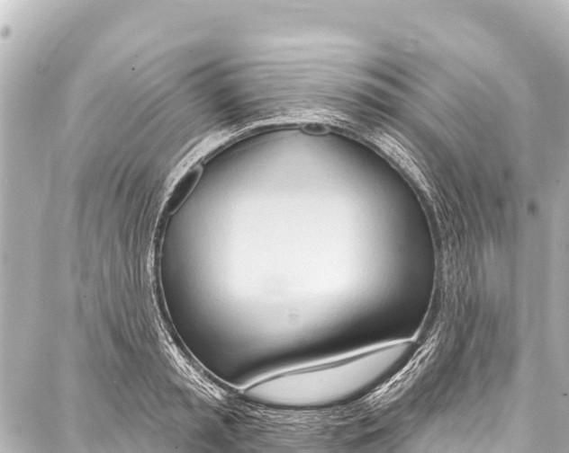 X0000086880797200705141409